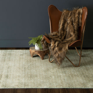 Karastan Evolution Fable Tan Area Rug