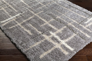 Surya Fanfare FAF-1000 Area Rug Closeup Feature