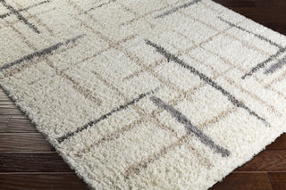 Surya Fanfare FAF-1001 Area Rug Closeup Feature