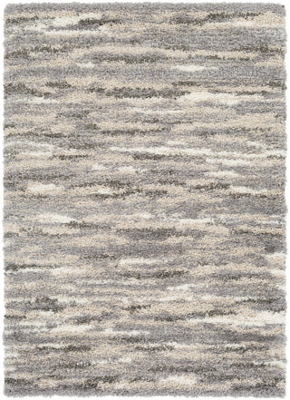 Surya Fanfare FAF-1002 Grey/Brown Area Rug main image