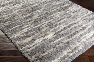 Surya Fanfare FAF-1002 Area Rug Closeup Feature