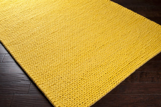 Surya Fargo FARGO-100 Area Rug 5x8 Corner Feature