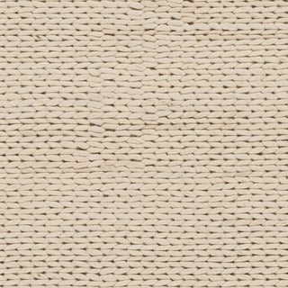 Surya Fargo FARGO-105 Beige Hand Woven Area Rug Sample Swatch