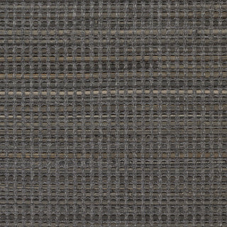 Surya Fan Belt FBT-5000 Area Rug by Papilio Sample Swatch