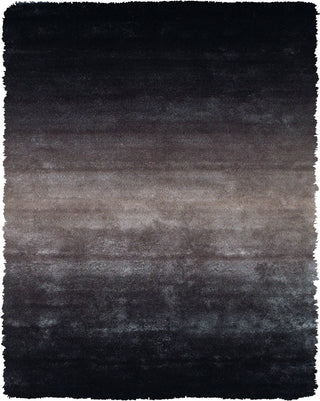 Feizy Indochine 4551F Black/Gray Area Rug main image