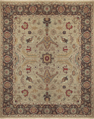 Feizy Goshen 0637F Gold/Brown Area Rug