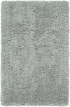 Feizy Beckley 4450F Gray Area Rug main image