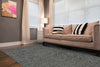 Feizy Leilani 6447F Storm Area Rug Lifestyle Image Feature