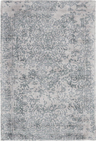 Feizy Nadia 8383F Blue/Gray Area Rug main image