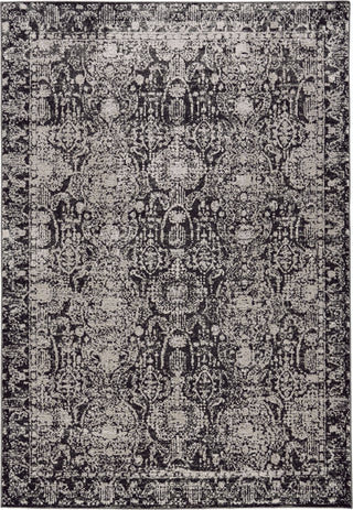 Feizy Prasad 3680F Charcoal/Gray Area Rug