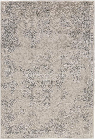 Feizy Prasad 3682F Light Gray Area Rug