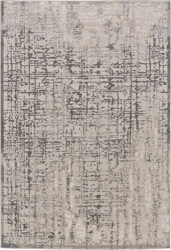 Feizy Prasad 3683F Gray Area Rug main image