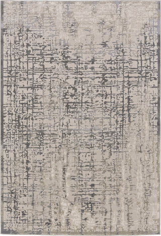 Feizy Prasad 3683F Gray Area Rug main image