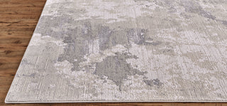 Feizy Prasad 3970F Ivory/Gray Area Rug Detail Image