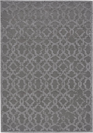 Feizy Akhari 3675F Silver Area Rug