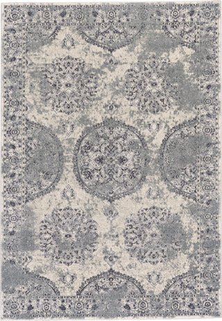 Feizy Akhari 3684F Silver/Beige Area Rug