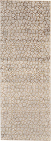 Feizy Cannes 3694F Light Gray/Brown Area Rug