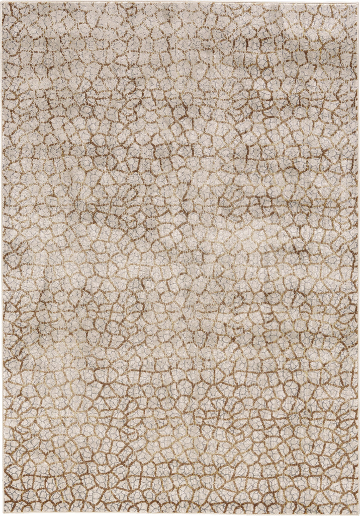 Feizy Cannes 3694F Light Gray/Brown Area Rug
