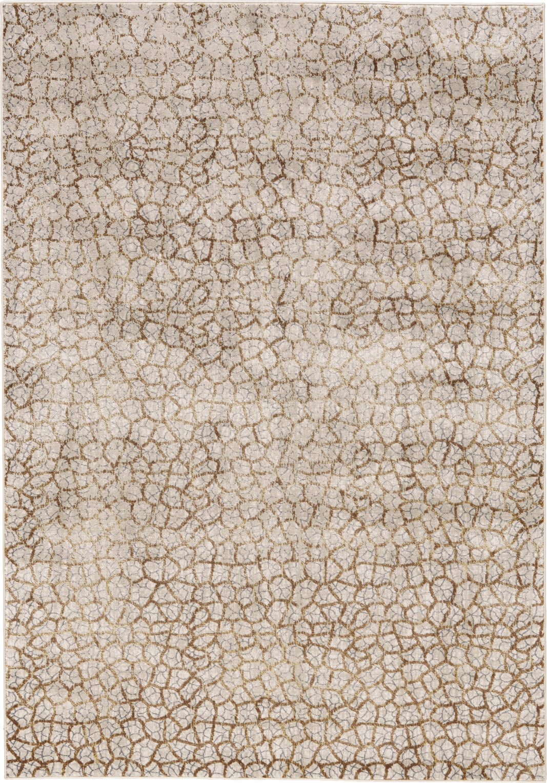 Feizy Cannes 3694F Light Gray/Brown Area Rug