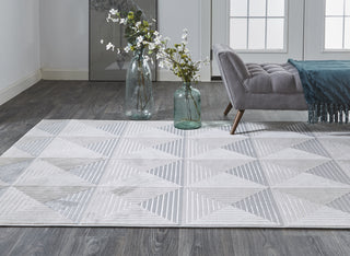 Feizy Micah 3044F Beige/Gray Area Rug Lifestyle Image