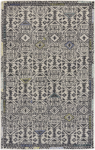 Feizy Arazad 8447F Black/Line Area Rug