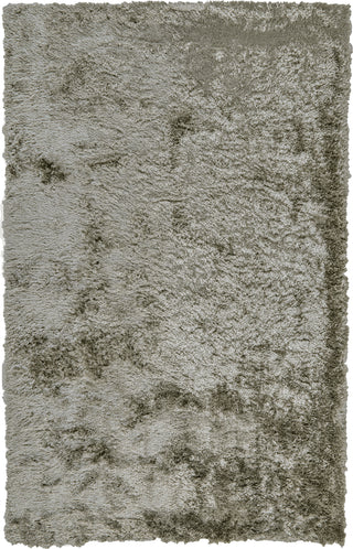 Feizy Blunham 4116F Silver Area Rug