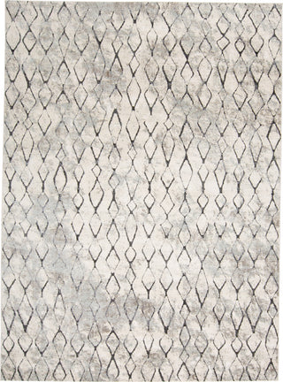 Feizy Kano 3872F Ivory/Gray Area Rug main image