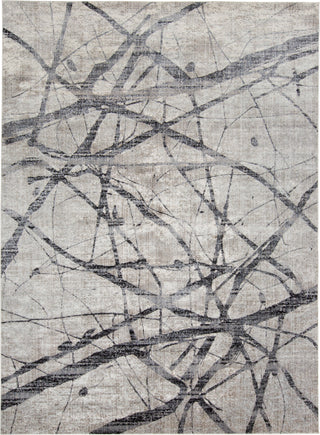 Feizy Kano 3877F Gray Area Rug main image