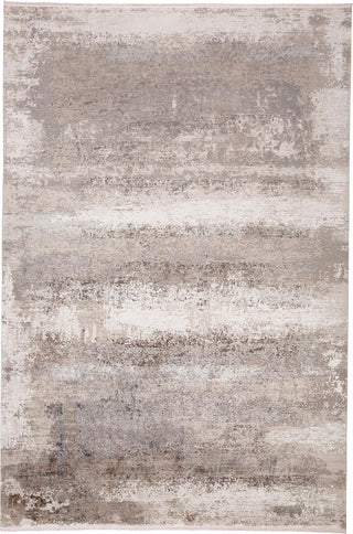 Feizy Cadiz 3888F Gray/Silver Area Rug main image