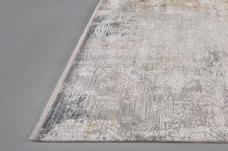 Feizy Cadiz 3892F Ivory/Gray Area Rug Detail Image