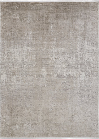 Feizy Cadiz 39FWF Beige/Gray Area Rug main image