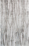 Feizy Dryden 8789F Gray/Silver Area Rug main image