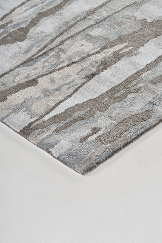 Feizy Dryden 8789F Gray/Silver Area Rug Lifestyle Image