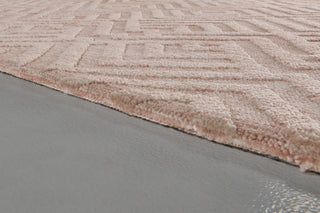 Feizy Colton 8792F Pink Area Rug Oval Corner Image