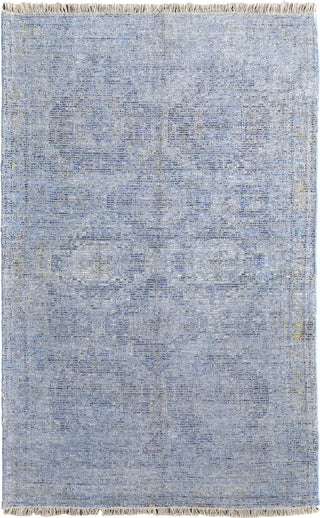 Feizy Caldwell 8804F Blue/Beige Area Rug main image