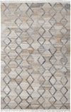 Feizy Beckett 0771F Charcoal/Tan Area Rug main image