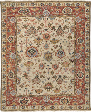 Feizy Carrington 6805F Beige/Rust Area Rug main image