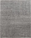 Feizy Alford 6913F Charcoal Area Rug main image
