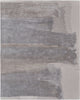 Feizy Anya 8921F Gray/Ivory Area Rug main image