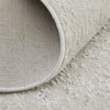 Feizy Astra 39L2F Ivory/Gray Area Rug Detail Image