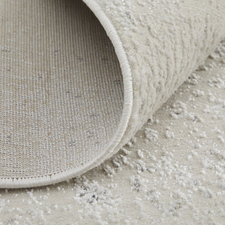 Feizy Astra 39L2F Ivory/Gray Area Rug Detail Image