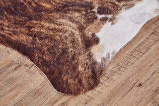 Feizy Bartlett COWHD Brown Area Rug Lifestyle Image