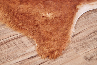 Feizy Bartlett COWHD Brown Area Rug Lifestyle Image