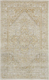 Feizy Aura 3734F Brown/Gold Area Rug main image