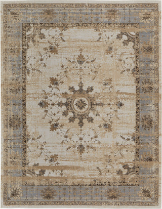 Feizy Celene 39KWF Beige/Gray Area Rug main image