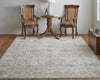 Feizy Celene 39L0F Beige/Gray Area Rug Lifestyle Image