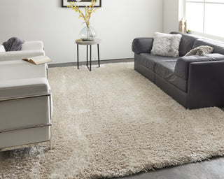 Feizy Darian 39K0F Beige Area Rug Lifestyle Image