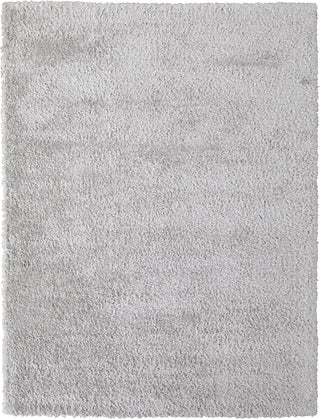 Feizy Darian 39K0F Light Gray Area Rug main image