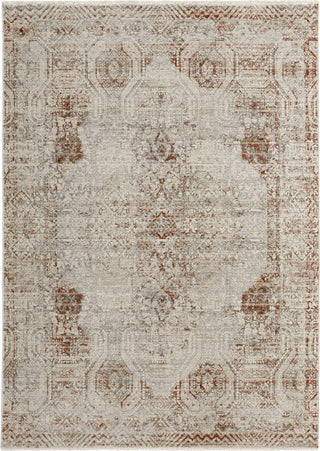 Feizy Kaia 39GKF Gray/Rust Area Rug main image