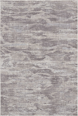 Feizy Lennon 39FYF Gray Area Rug main image